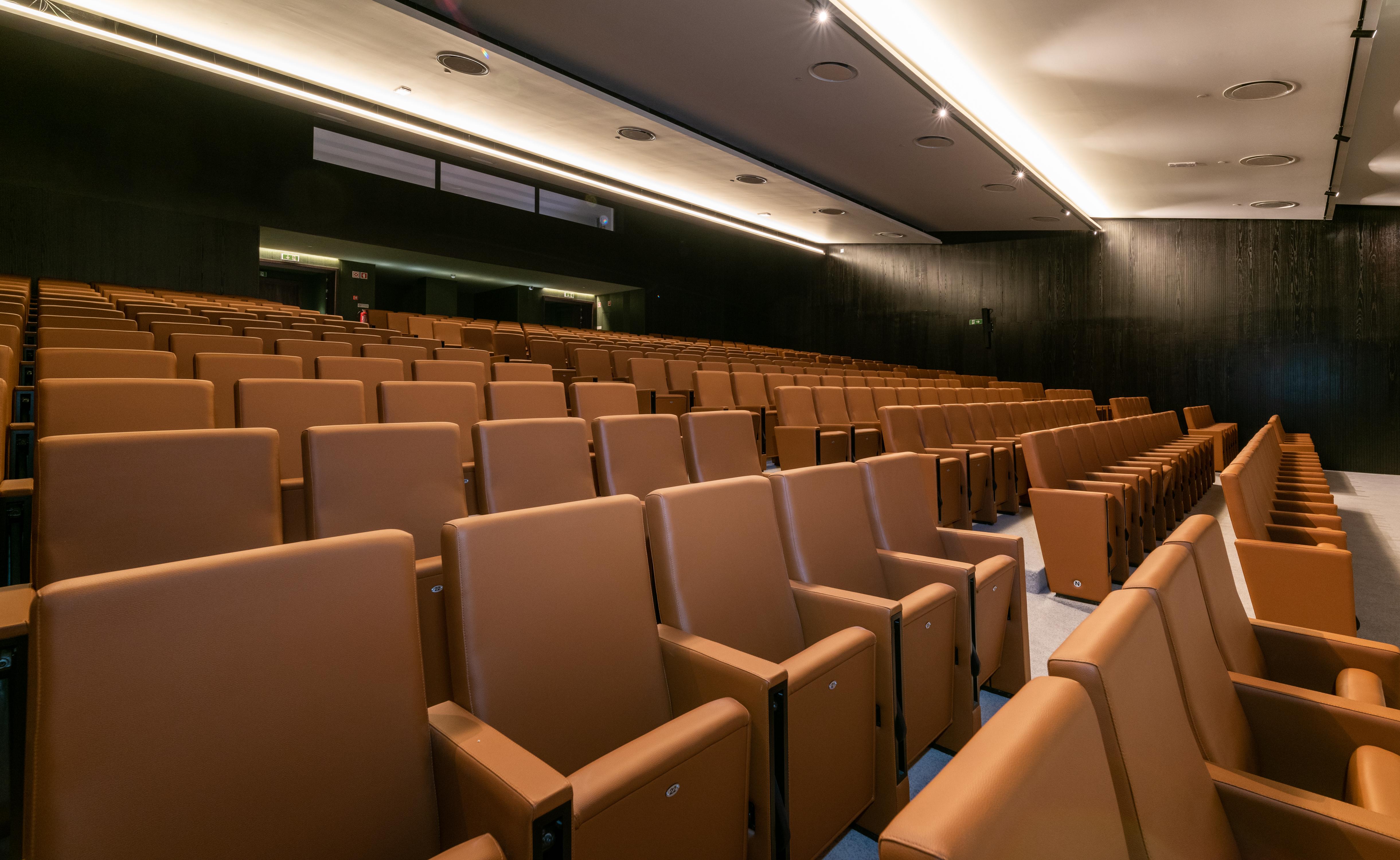 Hilton Porto Gaia Hotel Vila Nova de Gaia Exterior photo Auditorium